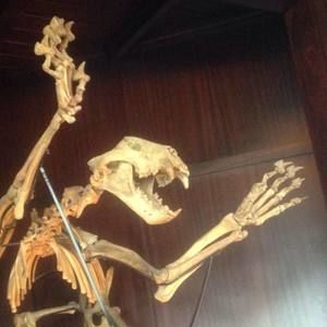 Meet your Posher, Eva